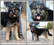 Be-Funky-collage-16.jpg&key=160d969b5cec