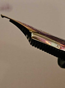 KOP-SIde-NIb