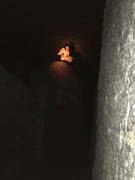 IMG-8122