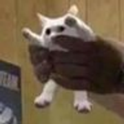 986354209ff115d5bf07b9a609ec1a2d