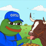 photo_2024-11-09_10-09-56