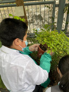 photo-20211123-iherbalgarden-010