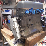 IMG-20240315-164920.jpg