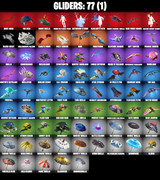 gliders-comp