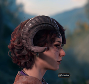 Nevari (Head - Right Side)