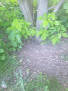 photo-2026-05-30-04-55-30