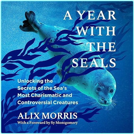 [Image: 29lhz7rmfy4y.png]