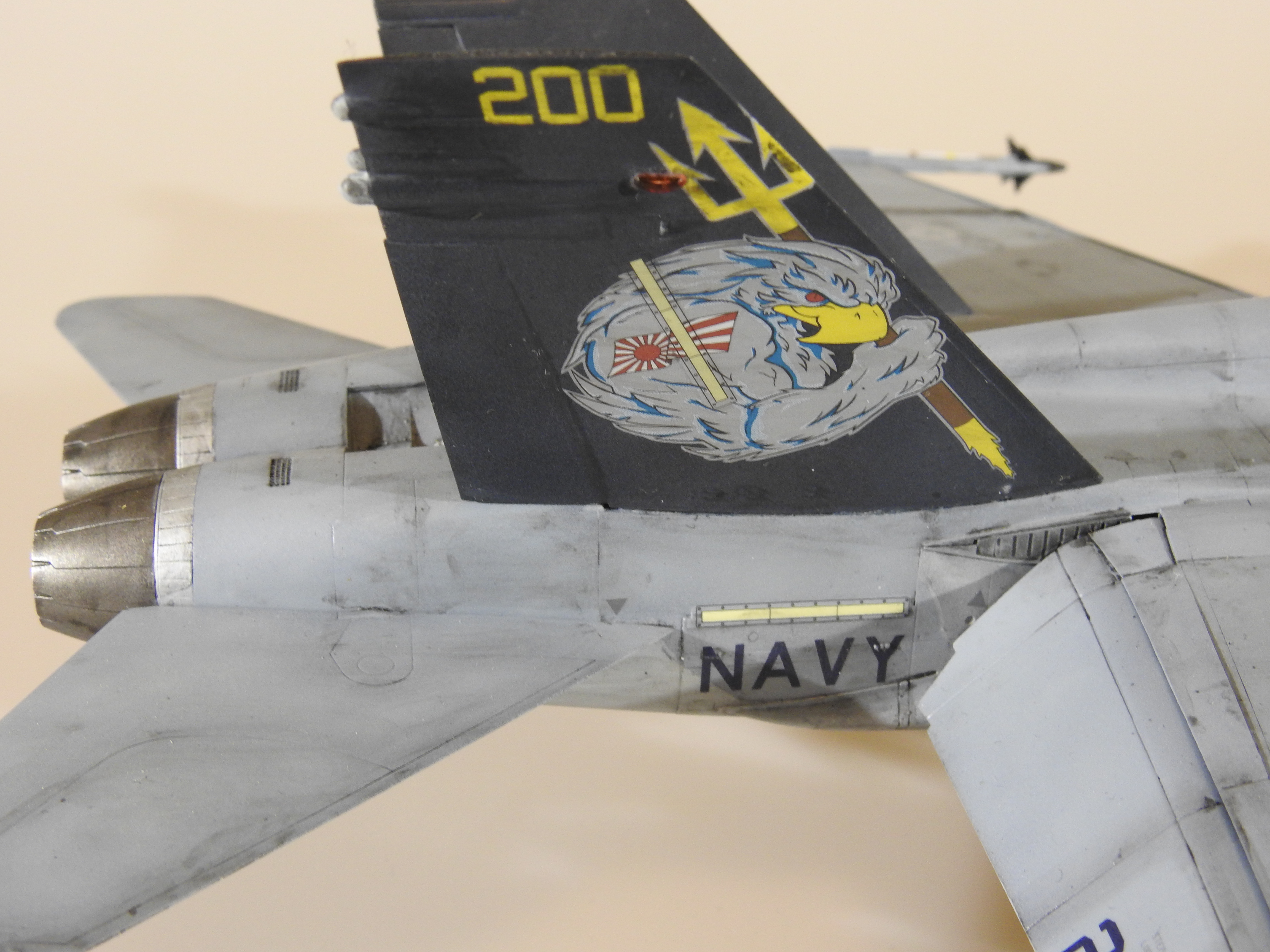 F/A-18C Hasegawa 1/48 - Klar DSCN8916