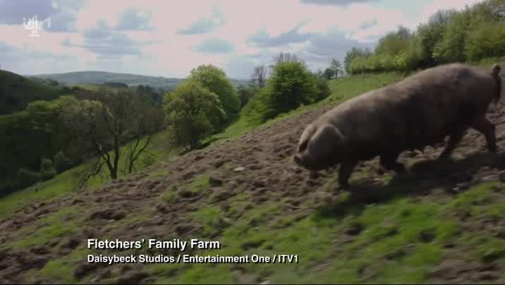 [Image: ph74w7chpmf8.jpg]