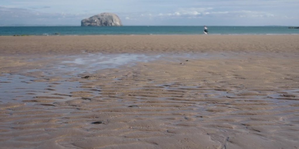 [Image: suoag5vn0b00.jpg]