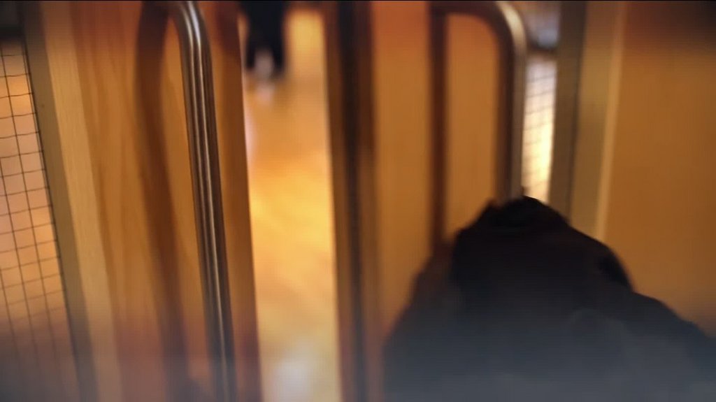 [Image: cug8k8xvf99c.jpg]