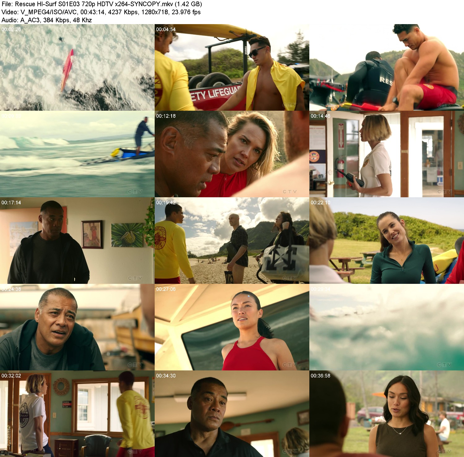 [Image: pej81g09duyh.jpg]