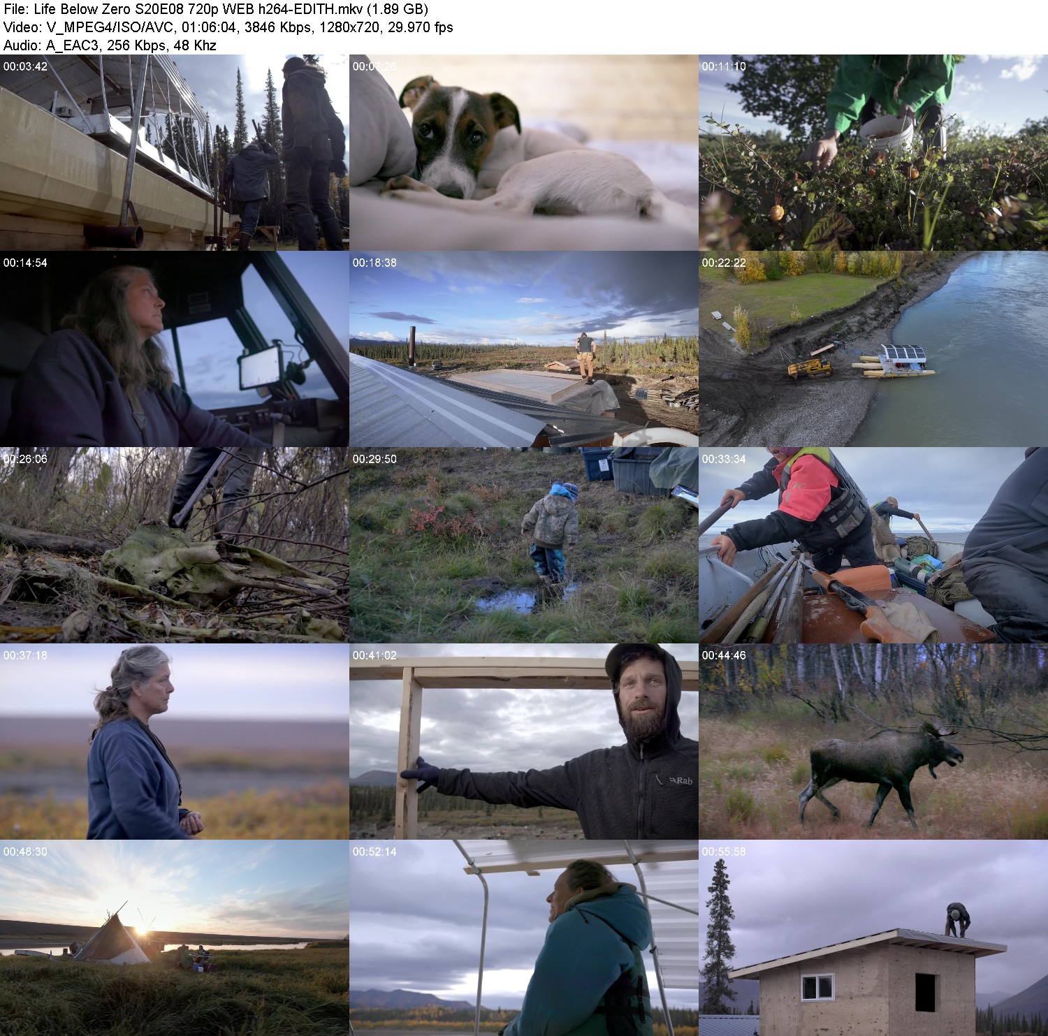 [Image: hsw-a31b2vkf1.jpg]