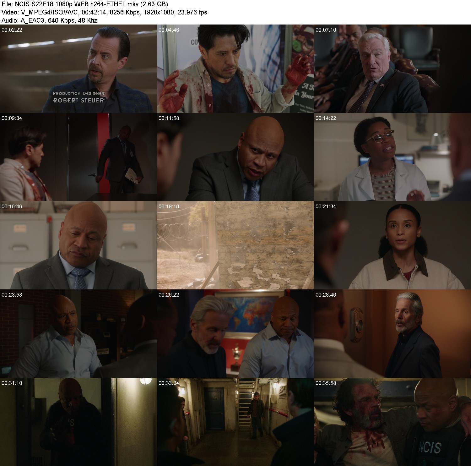 [Image: bzchpvsp1483.jpg]