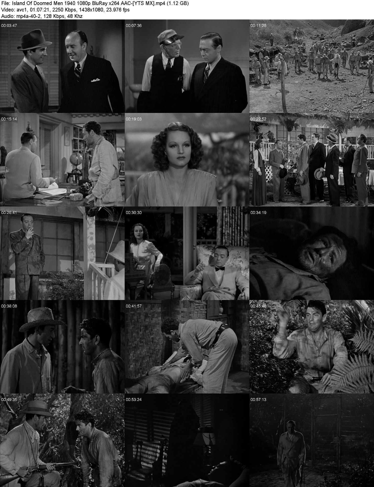 [Image: j23pkc0i9ofz.jpg]