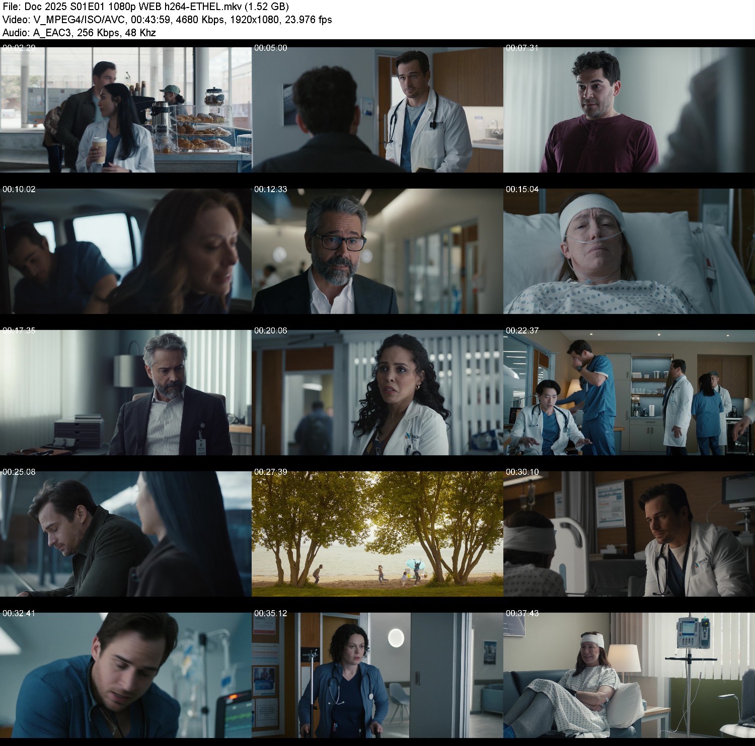 ccn7iif830co.jpg