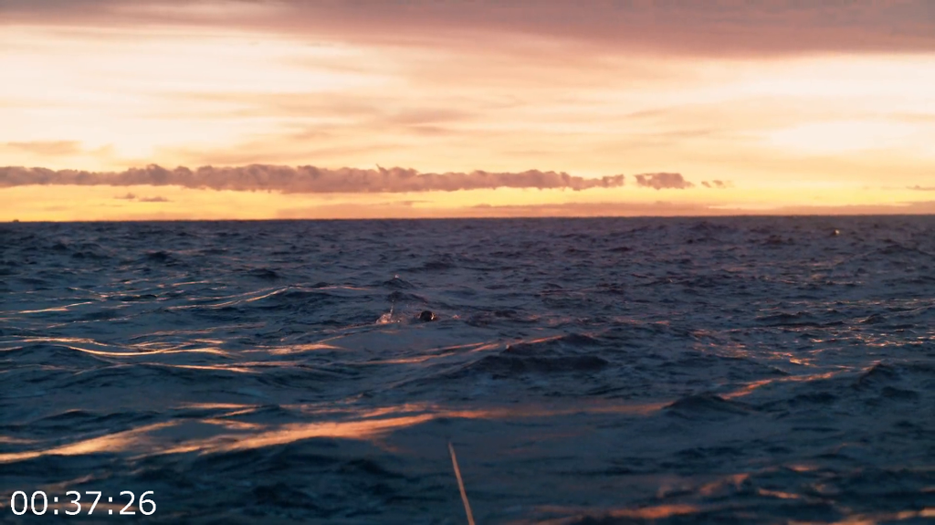 [Image: dc6iz7c5qxw3.png]