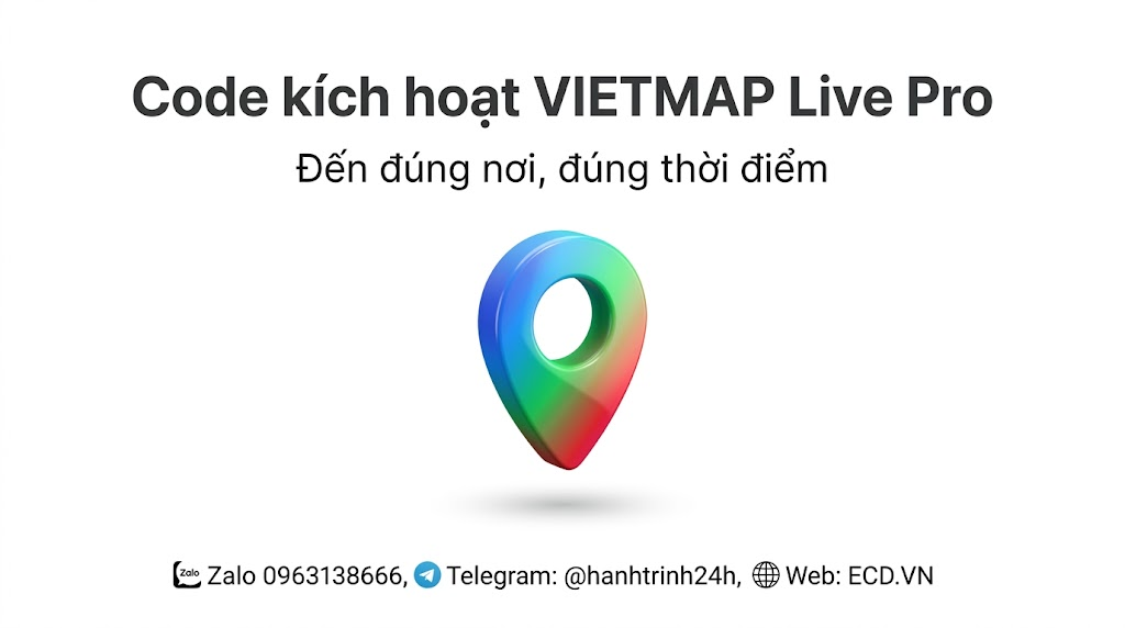 vietmap pro save money