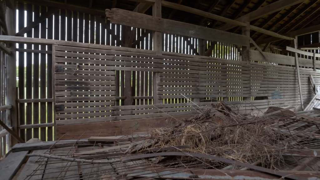 [Image: tywy30zf2or6.png]