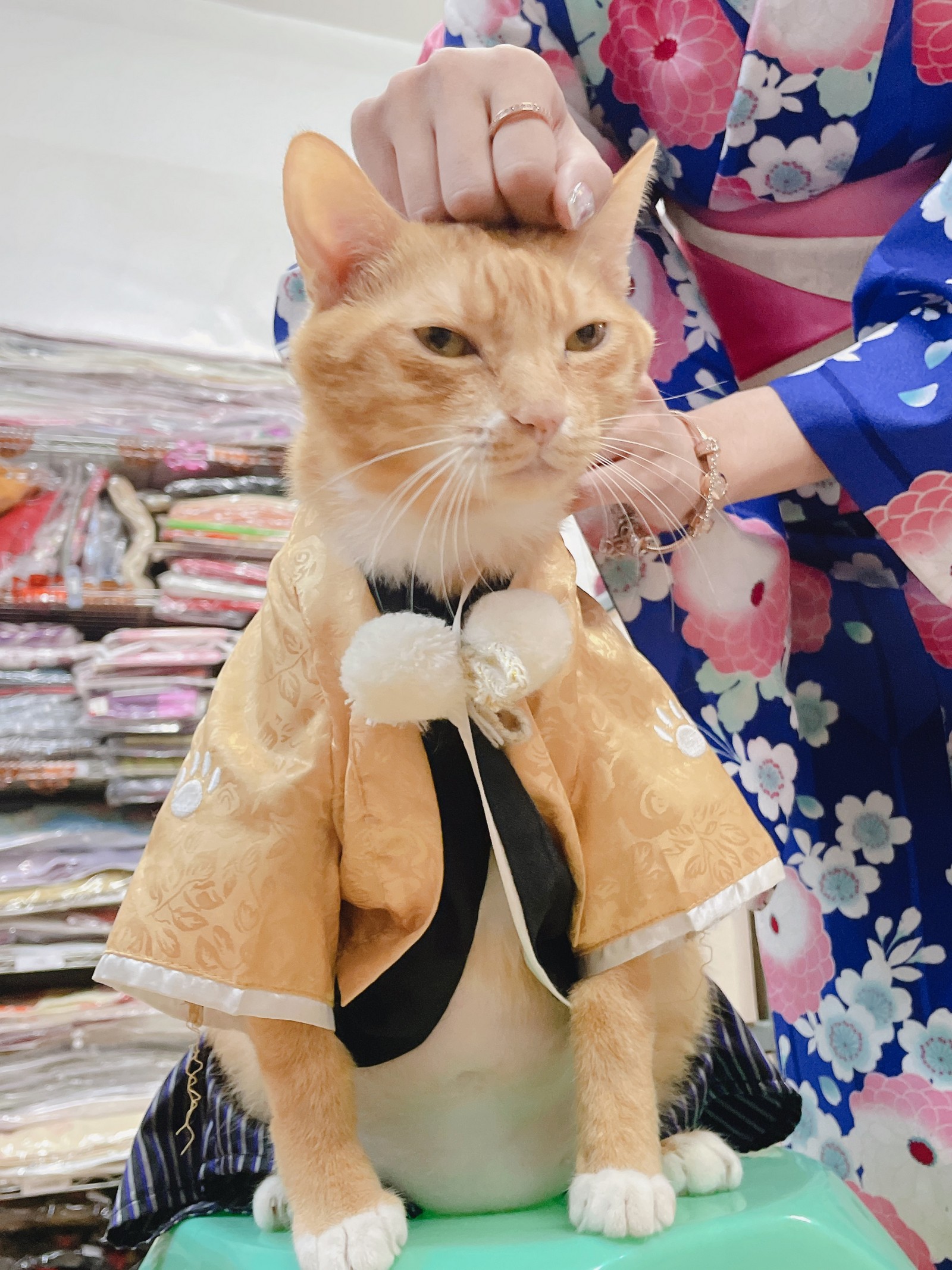 泥泥汝 和服主题 写真＋视频合集｜日式传统风高清图集（440P｜26V｜1.36GB）插图1