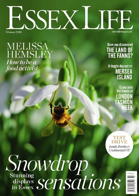 Essex-Life-February-2020.jpg