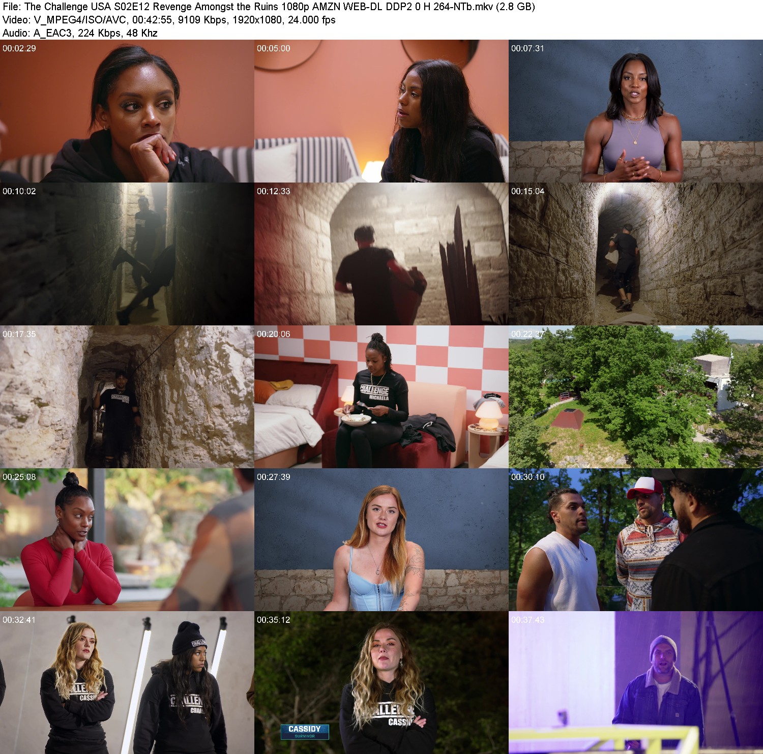 [Image: ct3lnw4sn06j.jpg]