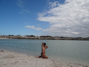 DSC01239