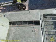 IMG-3529
