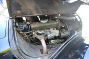 DSC-0727.jpg