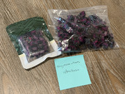 IMG-0574