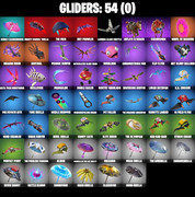 gliders-comp