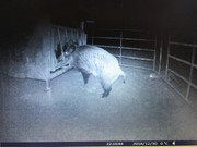 3B4B9D79-933B-49F5-AABD-338968CC9A9A