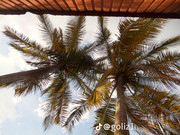 photo 4 2026 01 16 22 14 01