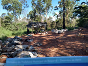 WhatsApp Image 2020-01-31 at 15.50.55 (3)