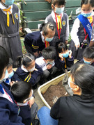 photo-littlefarmer2122-013