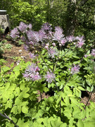 IMG-3849