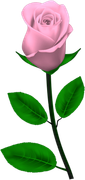 Sweet-Love-MM-Element-42