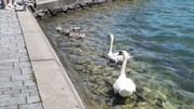 IMG-20260602-120757879-HDR-(2)