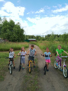 IMG-20250604-WA0013-1