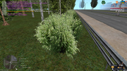 mta-screen-2025-08-17-15-27-04