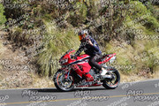 IMG-1368