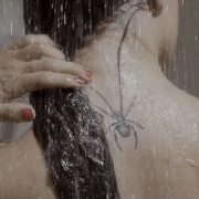 Aneta-Banach-GIF19