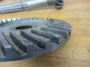 IMG-4961.jpg