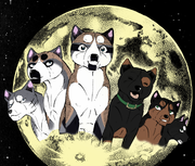 Damien and Riley family