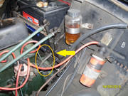 SDC12244.jpg