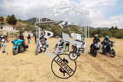 IMG-2520