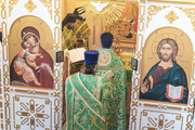 DSC08218-resized
