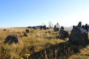 IMG-0157