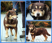 Be-Funky-collage-22.jpg&key=328056754196