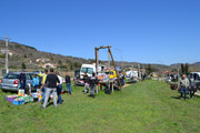 DSC-0125.jpg